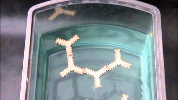 Self-assembling systems_Water surface assembly 01.wmv