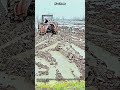 농부들이 보면 무조건 빠져든다는 보기만 해도 시원한 진흙 평탄화 기술 #tractor #farming #mud #agriculture #machinery