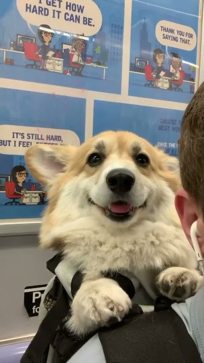 Oooiii