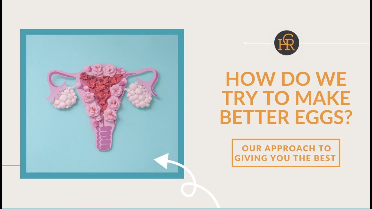 How Do We Make Better Eggs During Fertility Treatment?