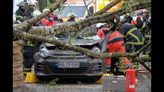 Sturm und Unwetter fordern Todesopfer: „Xavier“ fegt über Hamburg hinweg