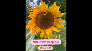 Основные тенденции и вызовы недели 17.08 - 23.08. 2026. Время кризиса