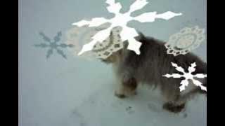 Ren Lenny Ren Acda en de Munnick