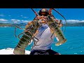 CRAYFISH CATCH AND COOK IN PARADISE