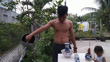 Bứng cây tường Vy cổ thụ của bồ cũ của vợ. Part 3