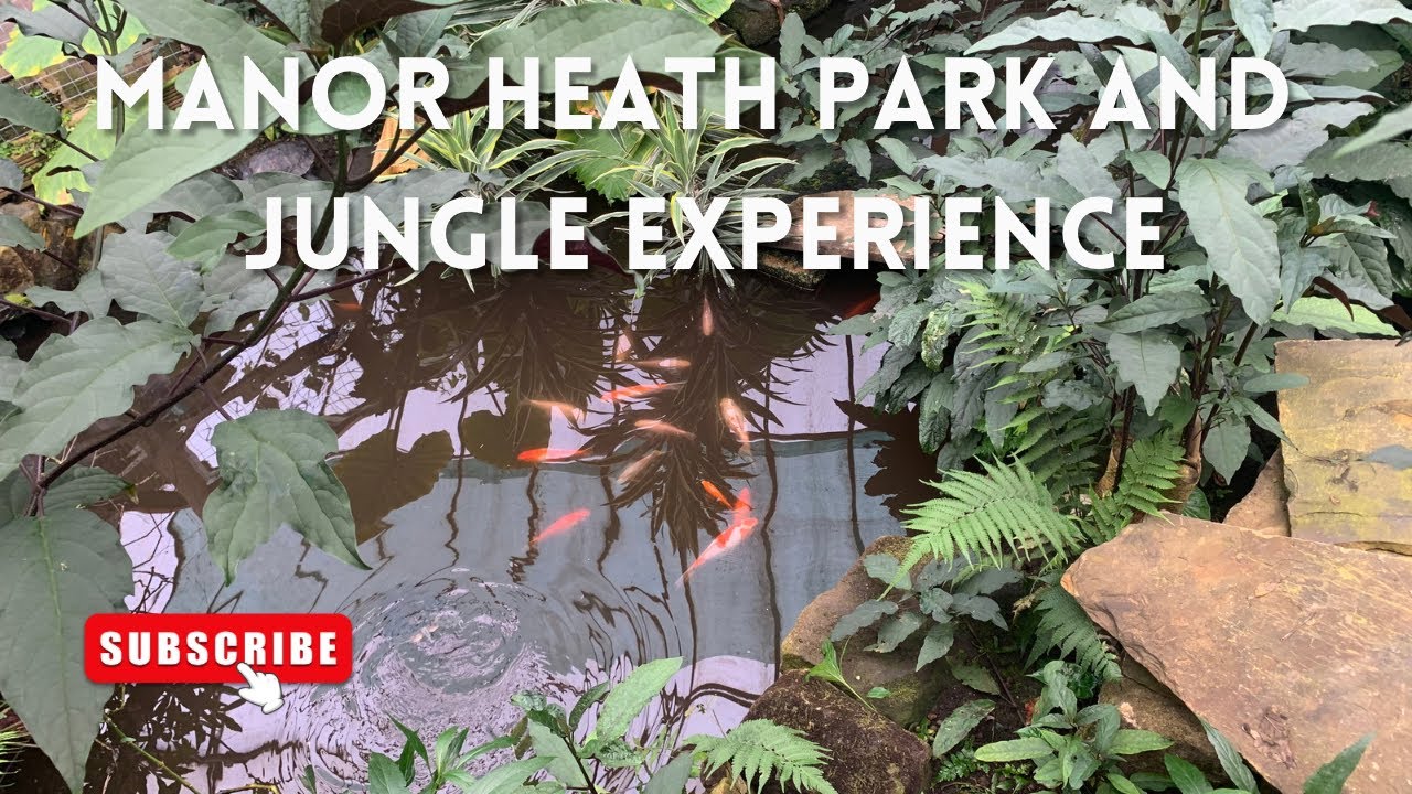 Manor Heath Park and Jungle Experience YouTube Manor Heath Park and Jungle Experience YouTube