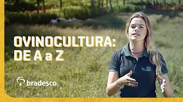Em quais estados há mais criação de ovinos?