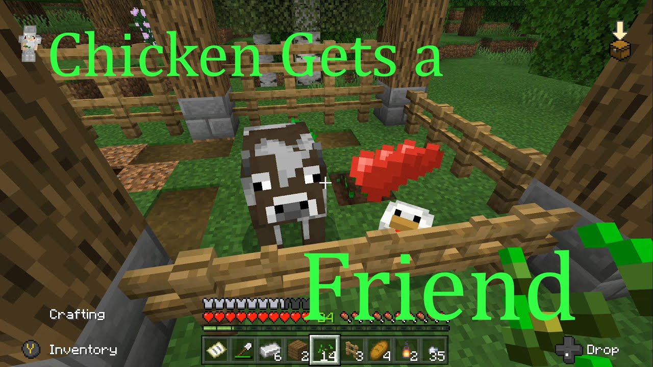 Chicken Gets A Friend [Minecraft] - YouTube