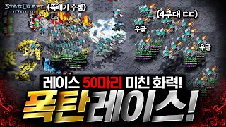 🔥 미친 레이스 50마리 ㄷㄷ🔥 가는 곳마다 싹 다 초토화 시켜버리는 폭탄 레이스 ㅋㅋ