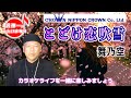 とどけ恋吹雪 舞乃空「沢伸一のうたいま専科」第57回放送 演歌・歌謡曲レッスン 2026/01/26 #演歌 #歌謡曲 #レッスン #レッスン動画 #歌ってみた #歌うま #カラオケ