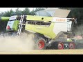 Claas Lexion 8800 in the field harvesting Wheat | Harvest Season 2021 | BIG Combine & Farming