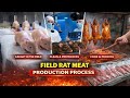 The process of producing field rat meat (from the fields to modern factories in Europe)