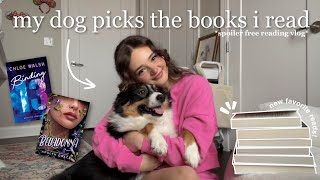 my dog picks the books i read! 🐶📖 *spoiler free reading vlog*