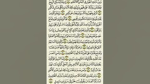 سورة الشورى من الآية ٣٢ إلى الآية ٤٤بصوت القارئ ماهر المعيقلي