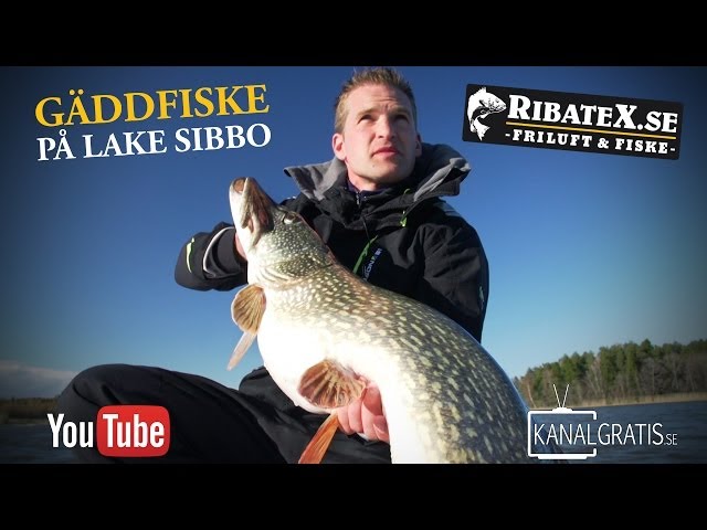 Ribatex TV | Pike Fishing in Lake Sibbo (English Subtitles) class=