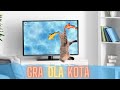 Gra dla kota rybki - Włącz film i zobacz co się stanie! Super zabawa dla kota 😺