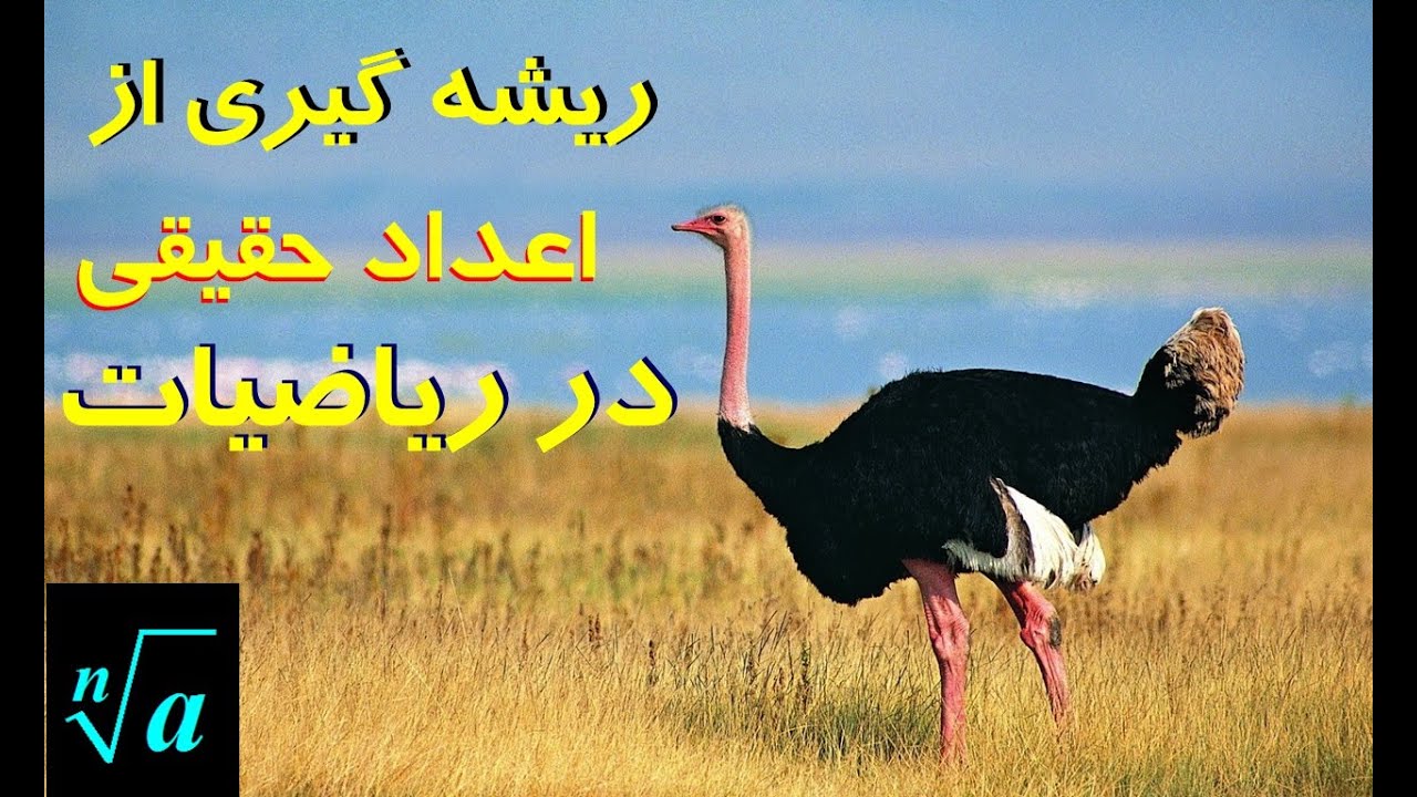 ریشه گیری از اعداد حقیقی در ریاضیات