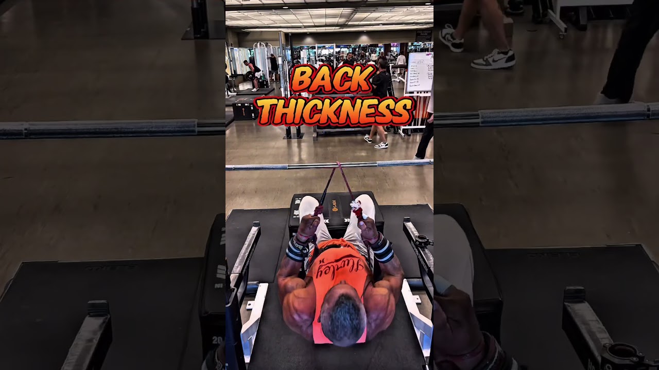 BACK THICKNESS REVERSE ROWS #workout #muscle #motivation #exercise