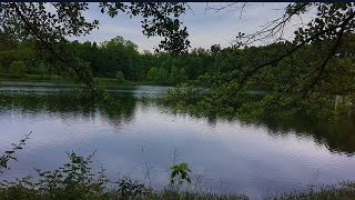 Peaceful Lake Sounds for Meditation Birds,Winds and Trees