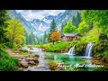 Relaxing Sleep Music &amp; Deep Sleep Music 🌿 Soft Piano for Anxiety Relief