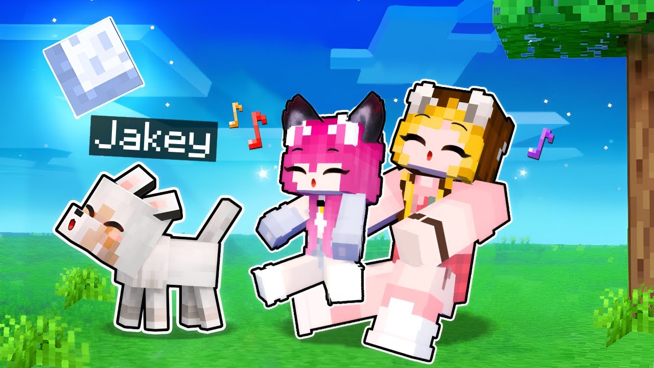 Noua Mea FAMILIE de CATELUSI! - YouTube