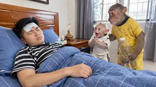 Something Terrible Happened to Dad... SinSin and the Baby Monkey Feared the Worst