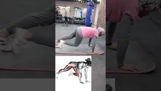 تمرين تسلق الجبال workout رياضة gym تخسيس_الارداف تمارين دهون حرق_دهون gymlife coaching