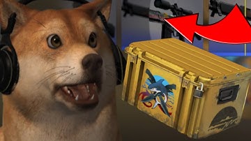 $1 CSGO CASE OPENING - Stream Highlights #106