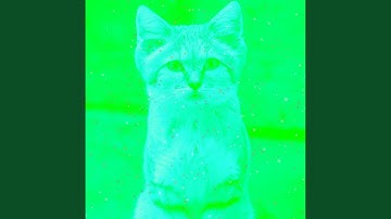 Grand Waltz - Vibe for Lazy Cat Days