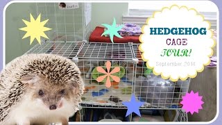 C&C Hedgehog Cage Tour!