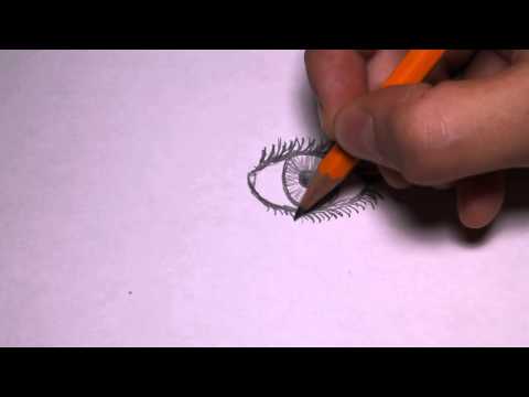 Video: Hur Man Ritar En Bäver, En Bäver Med En Penna