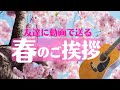 【春のご挨拶（桜）】動画で送る春のグリーティングカード　小鳥のさえずり＆ギターBGM　greeting card