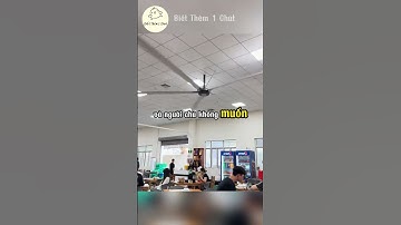 Đây là chiếc quạt trần lớn nhất trên thế giới.