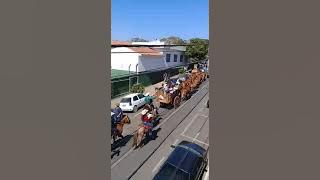DESFILE DE CARRO DE BOI DA FESTA DO PEÃO 2022 EM ALTEROSA-MG