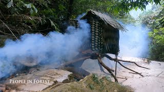 Build a dream treehouse Create an enchanting retreat among the branches - People In Forest