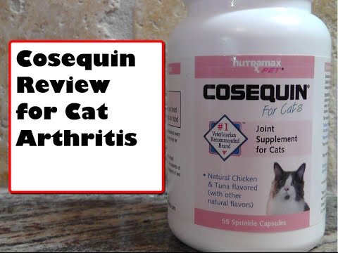 cosequin-review-for-cat-arthritis