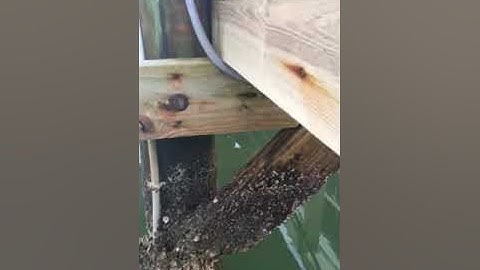 Dock buyer tips: never use lift piling to support dock