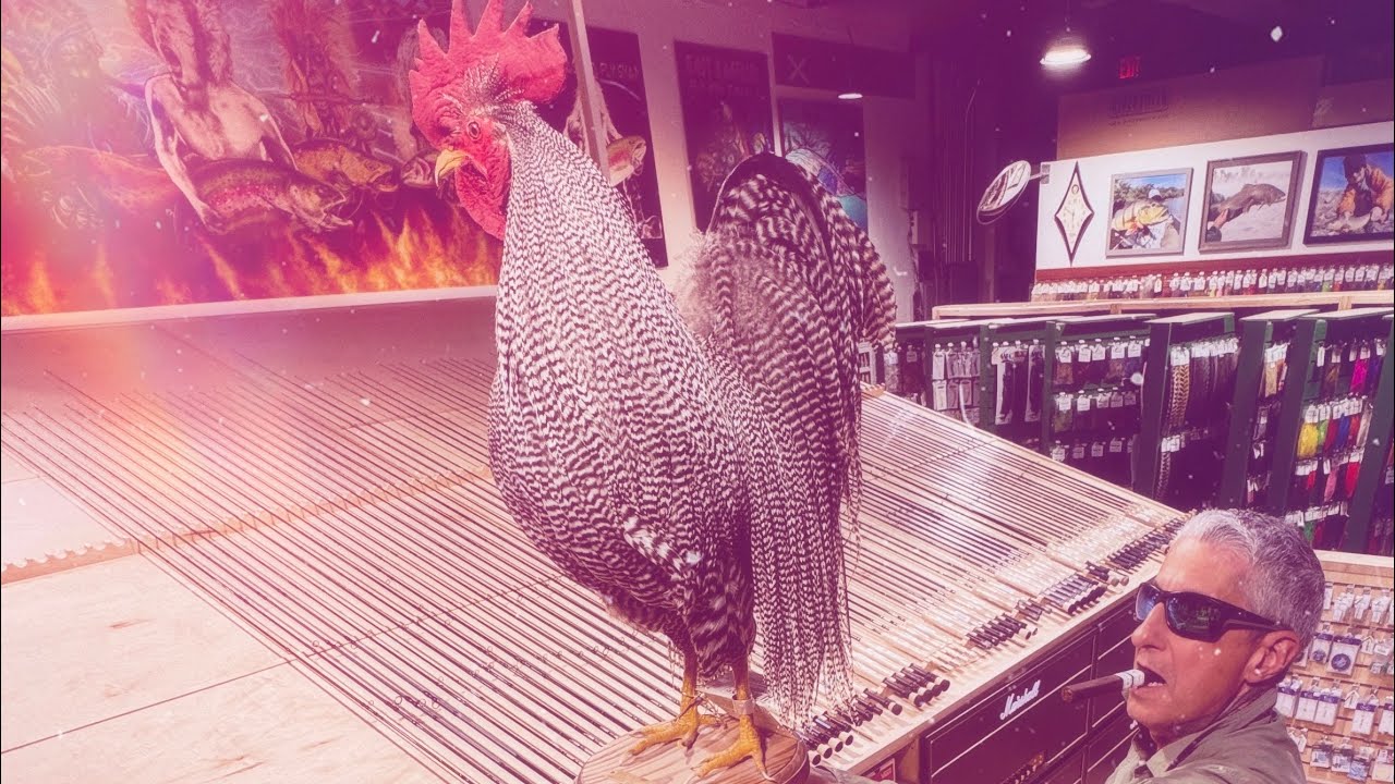 “Getting Kicked in the Balls on the North Coast”…..Pt2