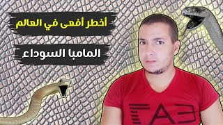 المامبا السوداء - أقوى وأخطر أفعى في العالم