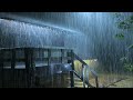 Beat Insomnia Instantly with Heavy Rain and Thunderstorm Sounds on a Tin Roof in Rainforest at Night