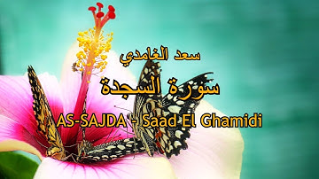 32 - سورة السجدة - سعد الغامدي - Sourate AS-SAJDA - Saad El Ghamidi