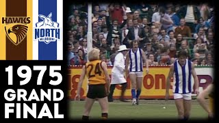 1975 VFL Grand Final - Hawthorn Vs North Melbourne (Extended Highlights)
