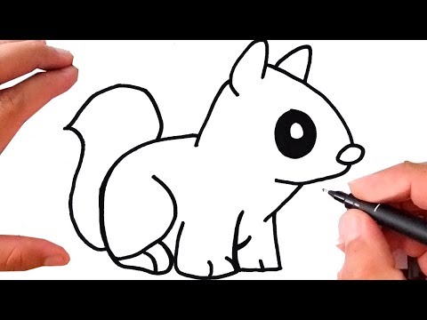 Como Desenhar um ESQUILO  How to Draw Squirrel 