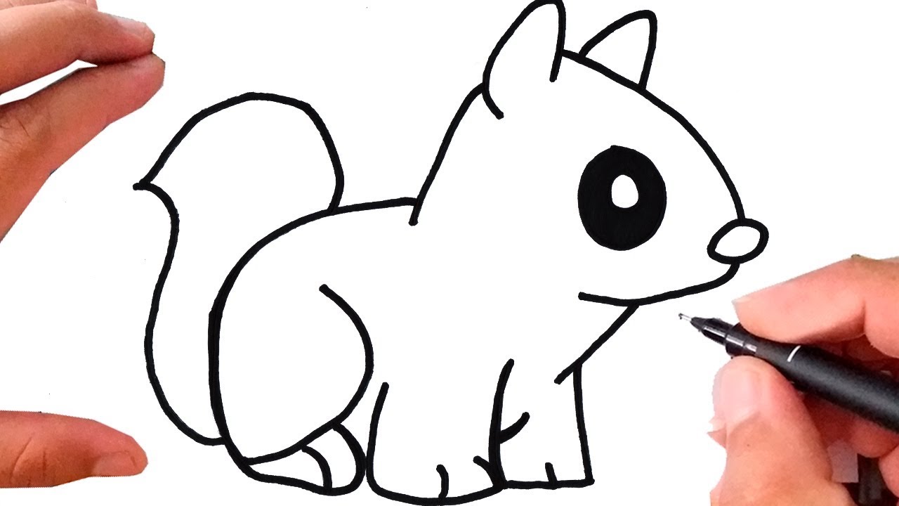 Como Desenhar um ESQUILO  How to Draw Squirrel 