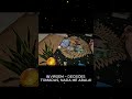 ♍VIRGEM – DECISÕES TOMADAS, NADA ME ABALA! #tarot #virgem