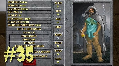 Skills, Progress, Summary | Let