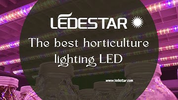 Led technology?The best led horticulture lighting chip in 2021!