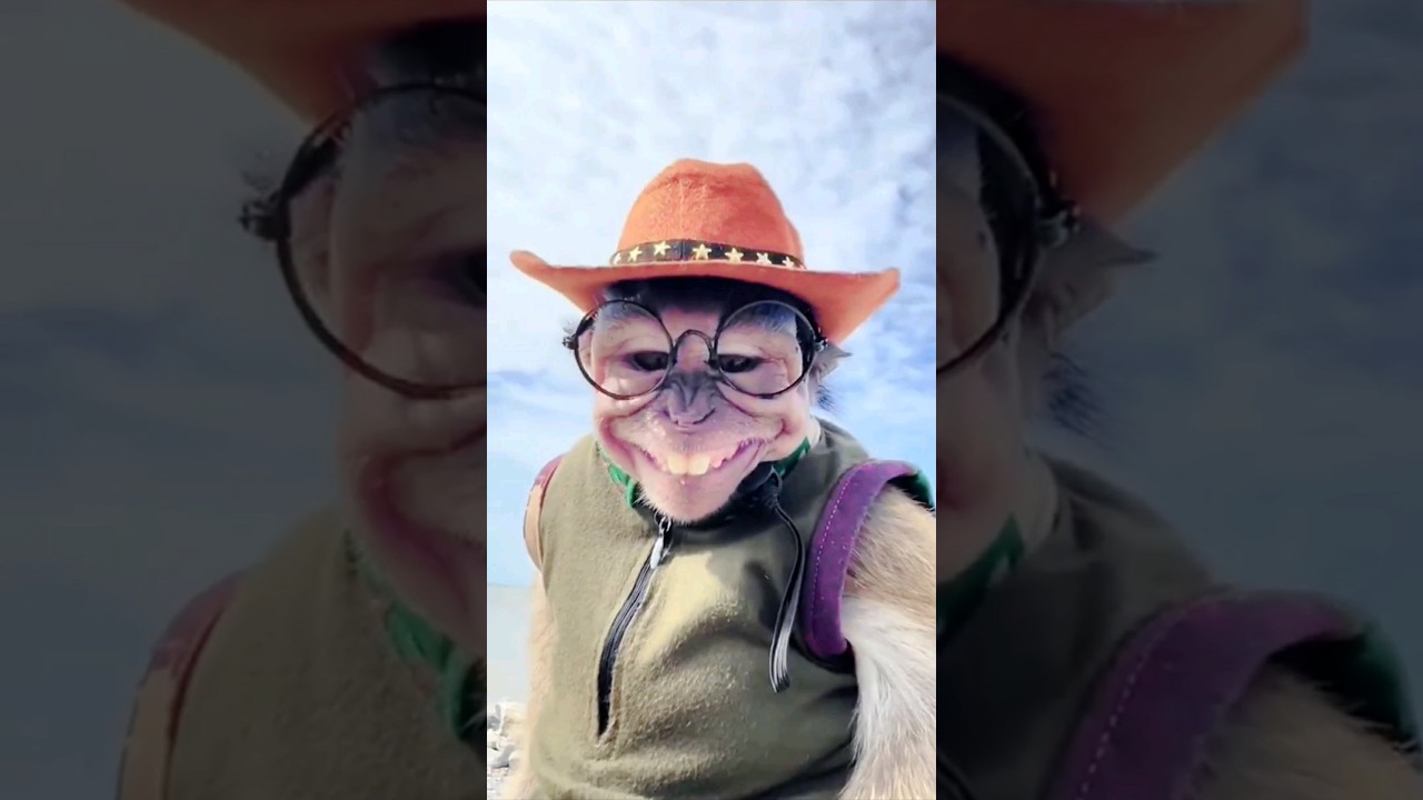 This Monkey Rizz is INSANE! 