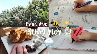 6'dan 7'ye Hazırlık Vlog #2 | Noodle, sadece sayısal 📐⚛️🔬 | Yaz Çalışmalarım 🥳✨