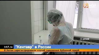 В Россию пришёл новый вариант коронавируса – «Кентавр»